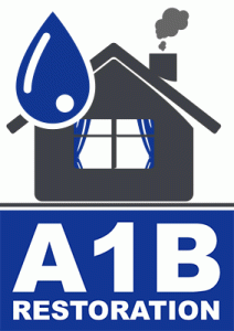 Allen Texas water damage cleanup near me